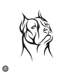 Amstaff13