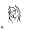 Amstaff13