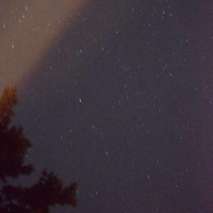 perseids