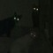 🐈‍⬛black_cat🐈‍⬛