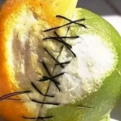 O,inima, nu ma lasa