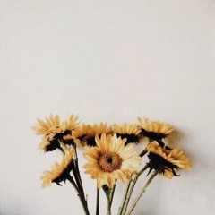 PNCP
