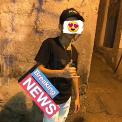 dolins33