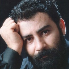 mehdi m