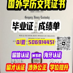 毕业证成绩单学历文凭认证留信认证WSE认证留才认证海牙认证offer