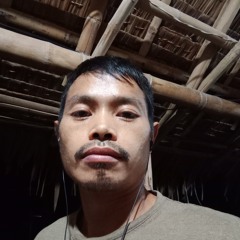 liaro