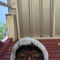 fugutrash