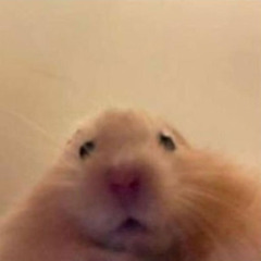 Ly