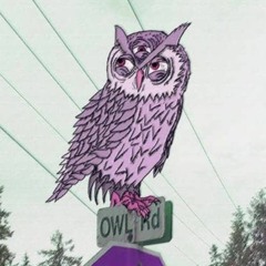 Road Owls