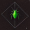 DOOMED APHID