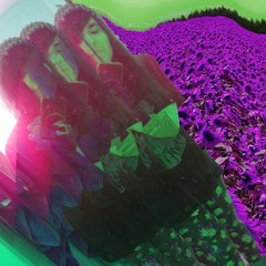 dj bubblegum toothpaste