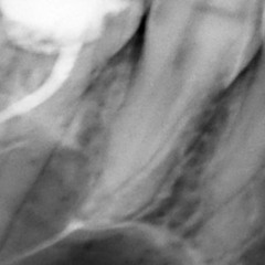 hi.dental