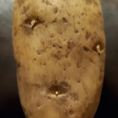 pulpyturk