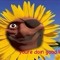 Demoflower TF2