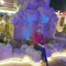 ياسر دياب