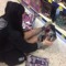linda_strangenight