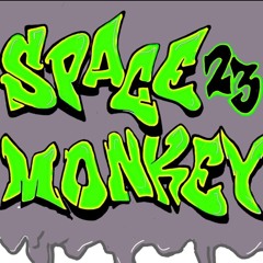 Spacemonkey_PKT_