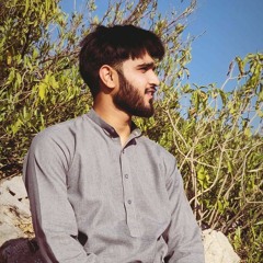 Talha Hussain 14