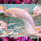 ‘~*p1nk_d0hp1n*~’