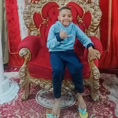 Bryan Victor Santos Guedes