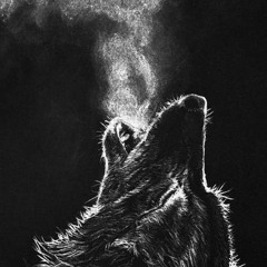 The Black Wolf Craze