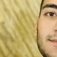in faghihi