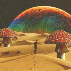 crash_bloom