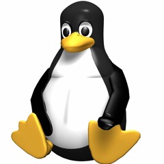 sneekylinux