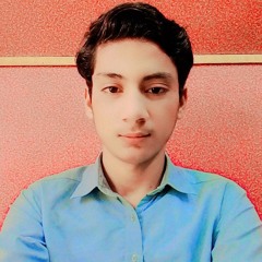 Malik Zain Basharti