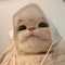 meow