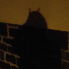 DarkSinner