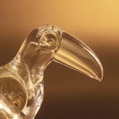 toucan pelican