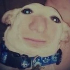 Diddles