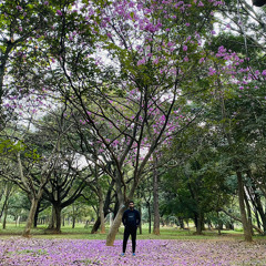 Harish Krishnamurthy