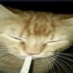 milo