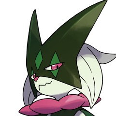 Chiro
