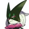 Chiro