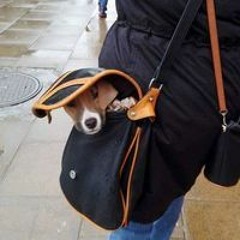 michael_patrick_kelly_throwback_1623753774.mp3