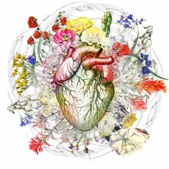 Mieke Johanna Doezema