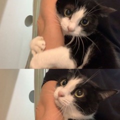 また