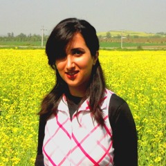 Mahdis Mlh