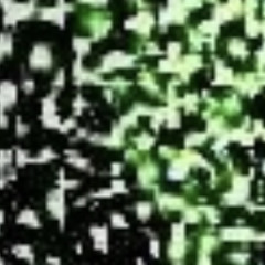 Reggie and the Search for Meaning