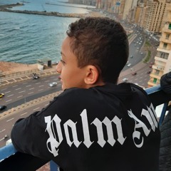 Hassan Amr