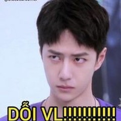 Trịnh Vũ
