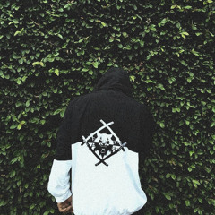 ICExWIZARDxWOE