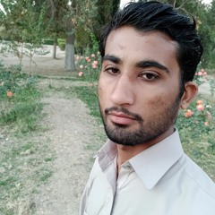 Muhammad Amjad