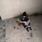 ch1stkov_