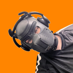 SynthReddBTR