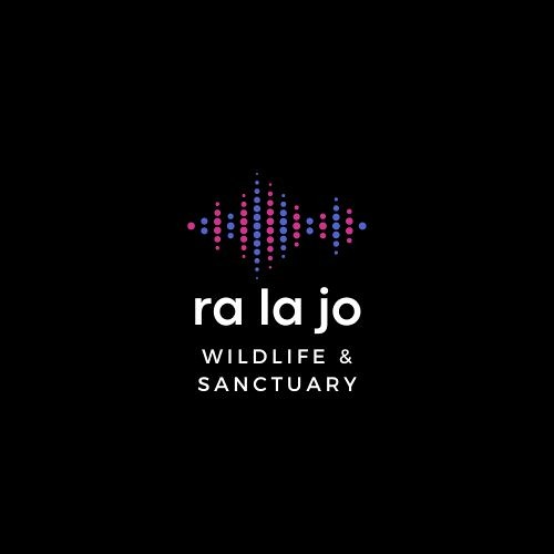 ra la jo’s avatar