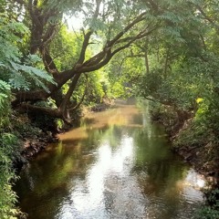 ขอบคุณพระเยซู